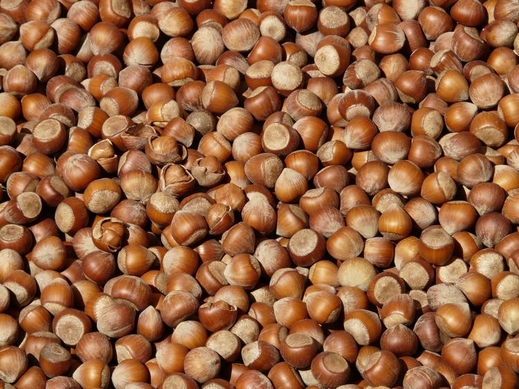 Nocciole, cacao e olio...di gomito